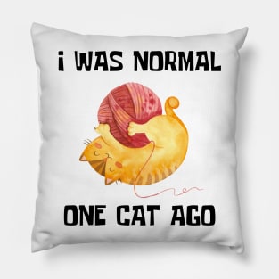 Funny Cat Phrase Pillow