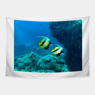 a pair of bannerfish Tapestry