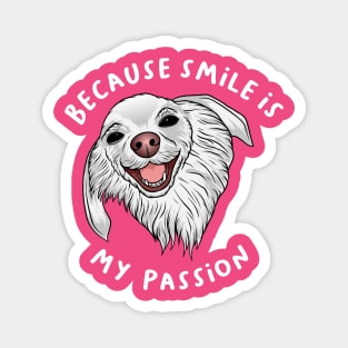 Smile is My Passion Magnet