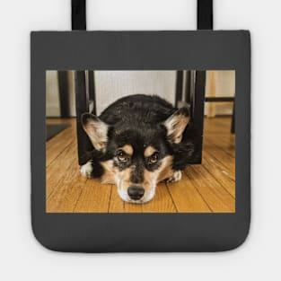 Corgi Kitchen Tote