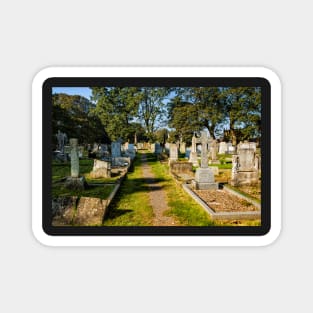 Oswald's churchyard3 Magnet