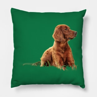 Irish Red Setter Pillow