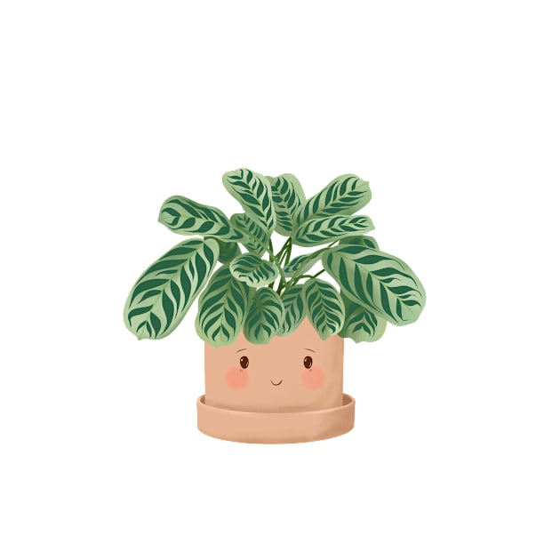 Cute Plant Illustration,  Calathea Burle-Marxii Amabilis 3 by gusstvaraonica