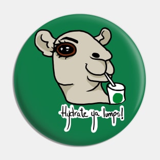 Hydration Camel Pin