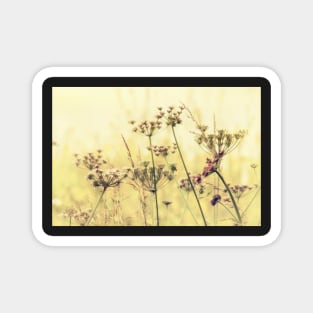 Wildflower Dreams Magnet