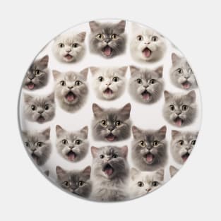 Package of surprised kittens Pin