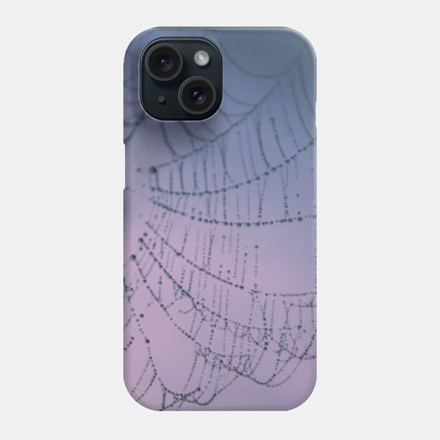 Mother Natures Web 2 Phone Case by PilkinsPhotography