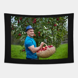 Farmer picking apples in a basket Tapestry