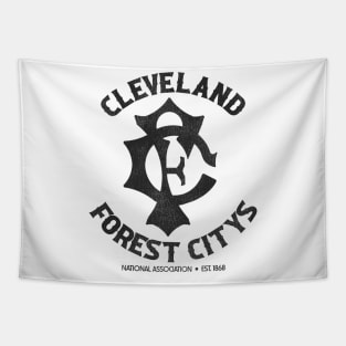 Defunct Cleveland Forest Citys Baseball Team Tapestry