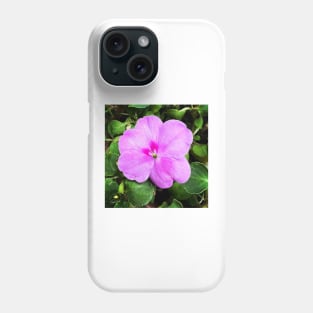 Busy Lizzie/Impatiens walleriana Phone Case