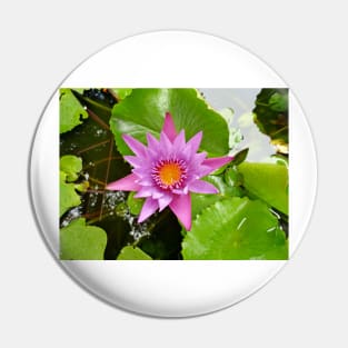 Honolulu Water Lily Pin