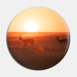 African Sunset Pin