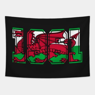 WELSH FLAG 1961 STICKERS Tapestry