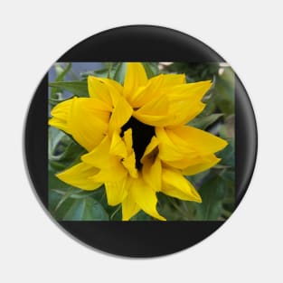 Sunflowers for Peace on Earth: Open the Heart in Solidarity with Ukraine Pin