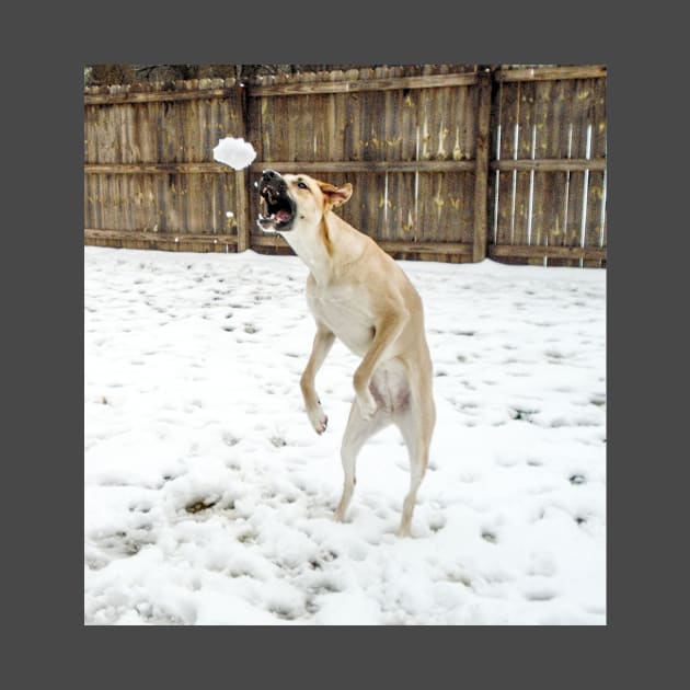 Anatolian shepherd catching a snowball by PandLCreations