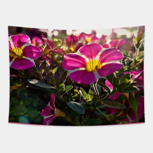 MAGENTA AND STRIPED PETUNIAS CLOSEUP Tapestry