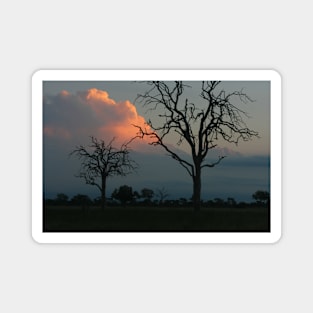 Pink Cloud in African Sky Magnet