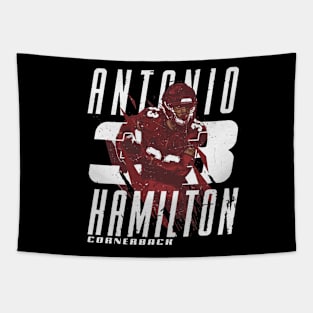 Antonio Hamilton Arizona Name Number Tapestry