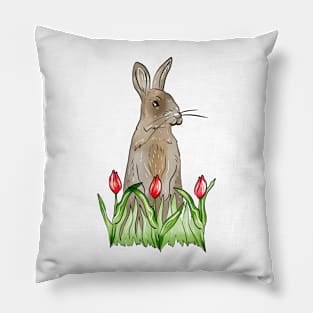 European Rabbit Pillow