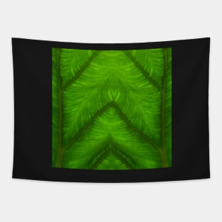 Banana leaf kaleidoscopic patterns. TWO Tapestry