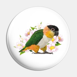 Caique Pin