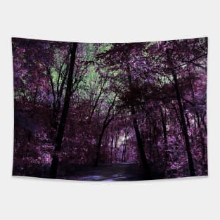 Majestic Fantasy Fall Wooded Trail Scene with Pink Foliage - Indian Creek Trail Kansas City Tapestry