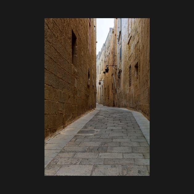 Typical Mdina street by lena-maximova