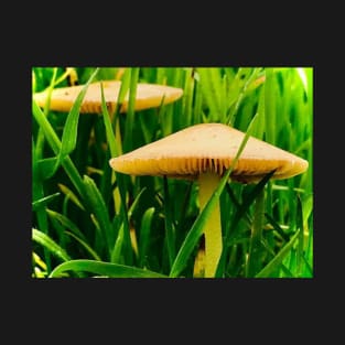 Mushroom Photography Print #5 T-Shirt