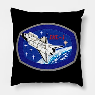 Black Panther Art - NASA Space Badge 127 Pillow