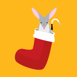 Australian bilby in a Christmas stocking T-Shirt