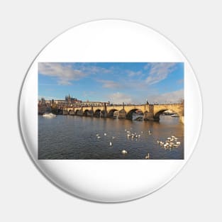 Side view of Charles Bridge Pin