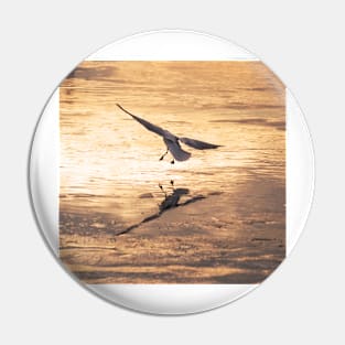 Gull on Ice Pin