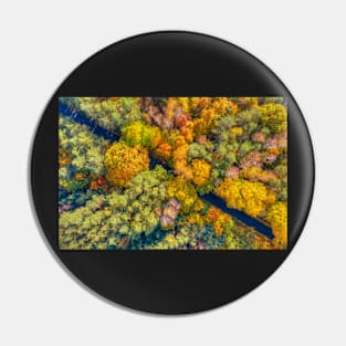 Aerial view of road through colorful autumn forest Pin