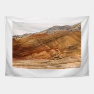 The Painted Hills Of Oregon - 2 © Tapestry