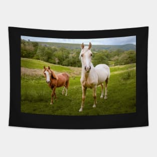 Welsh Ponies Tapestry