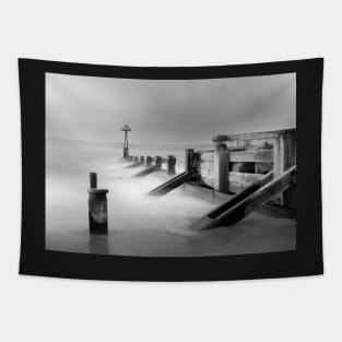 Seaton Sluice Groynes in Black and white Tapestry