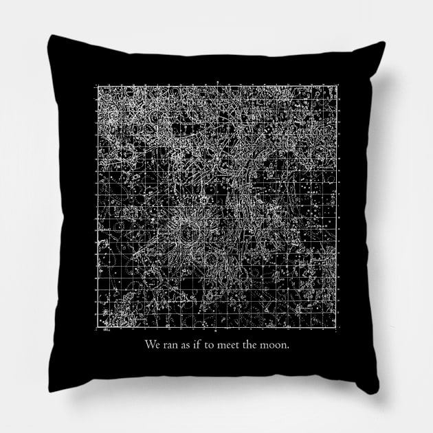 We Ran as if to Meet the Moon Pillow by codeWhisperer