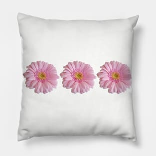 Three Pink Gerberas for Mothers Day Pillow