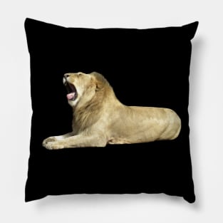 Lion - Big Cat - Cat - Africa Pillow