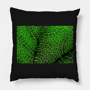 Green Leaf Macro Pillow