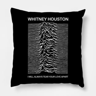 Whitney Pleasures ∆∆∆∆ Pillow