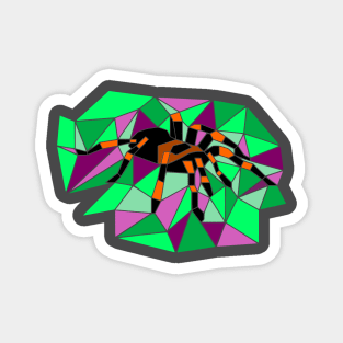 Geometric tarantula Magnet