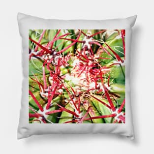 Red Cactus Thorns Pillow