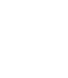 Ban Nazis Magnet