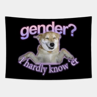 Gender I Hardly Know Er Meme Tapestry