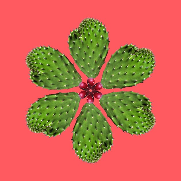 Flor de Nopal by Eduardo Tejedor