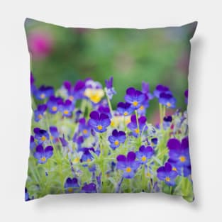 Little Purple Pansies Cottage Garden Pillow