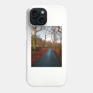 A winter walk in the park Phone Case