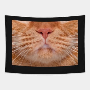 Cat Face Mask - Funny Design Tapestry