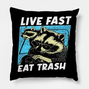 Wild Whimsy Raccoon Artistry Tee Pillow